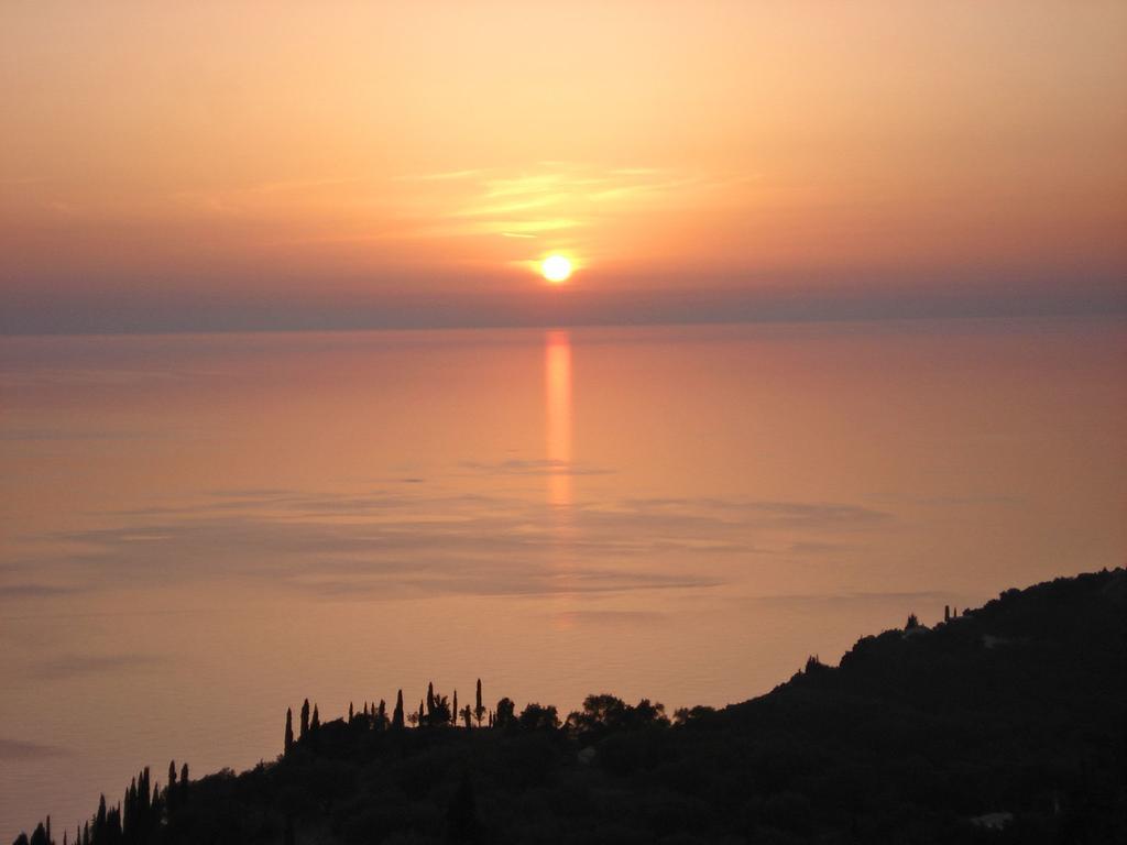 Horizon *